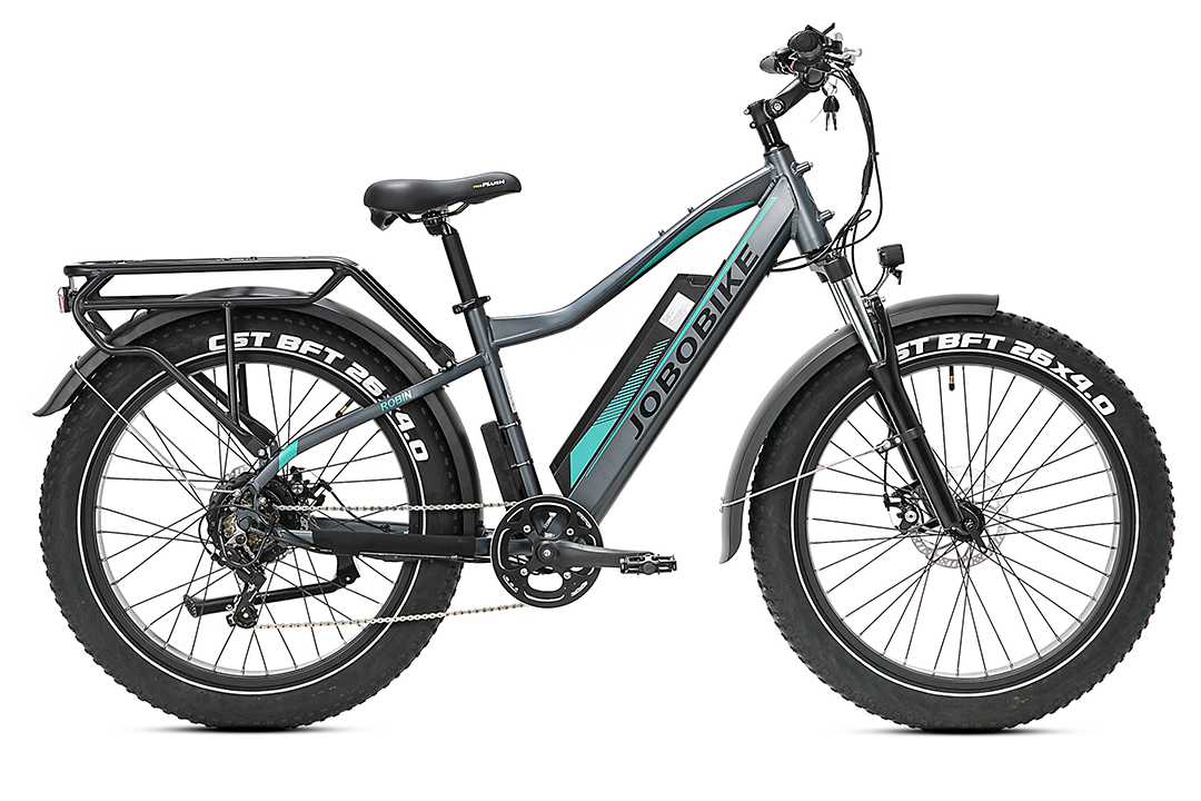 JOBOBIKE Robin Pro ST Step-Thru Elektrische Fatbike 7V Grijs Groen JOBOBIKE Robin Pro ST Step-Thru Elektrische Fatbike 7V Grijs Groen