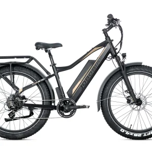 JOBOBIKE Robin Pro ST Step-Thru Elektrische Fatbike  7V Zwart Goud