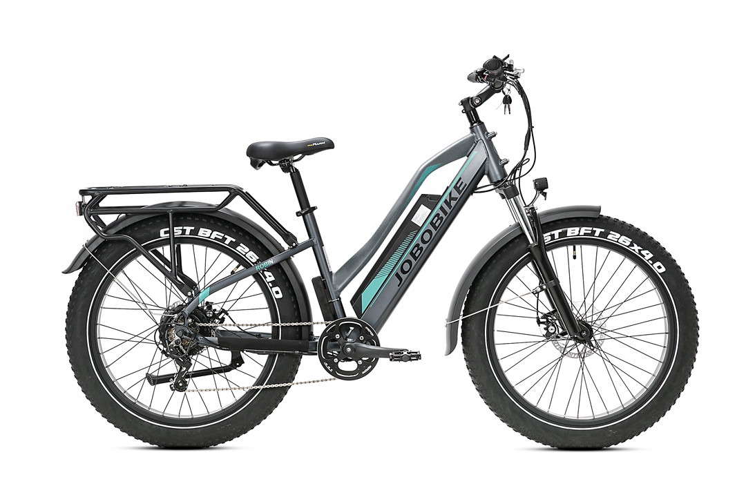 JOBOBIKE Robin Pro ST Step-Thru Elektrische Fatbike 7V Grijs Groen JOBOBIKE Robin Pro ST Step-Thru Elektrische Fatbike 7V Grijs Groen
