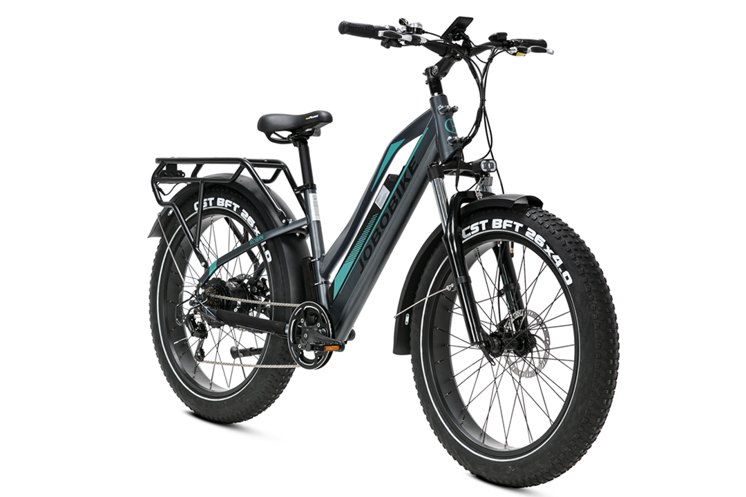 JOBOBIKE Robin Pro ST Step-Thru Elektrische Fatbike 7V Grijs Groen JOBOBIKE Robin Pro ST Step-Thru Elektrische Fatbike 7V Grijs Groen